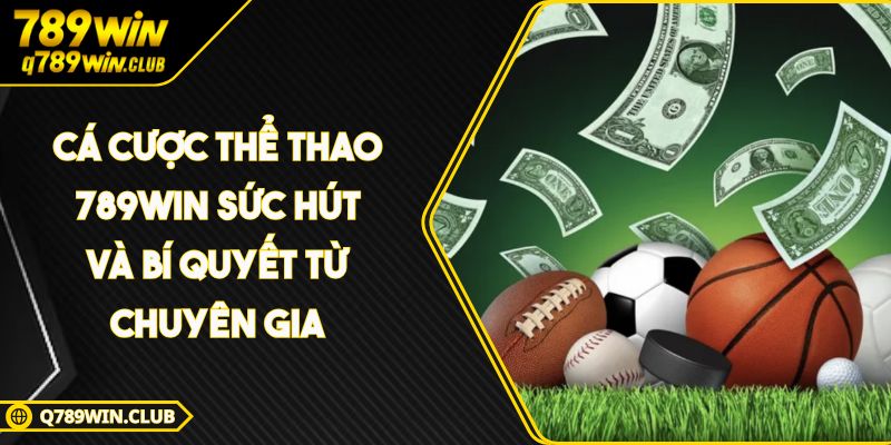 Cá Cược Thể Thao 789WIN Sức Hút Và Bí Quyết Từ Chuyên Gia