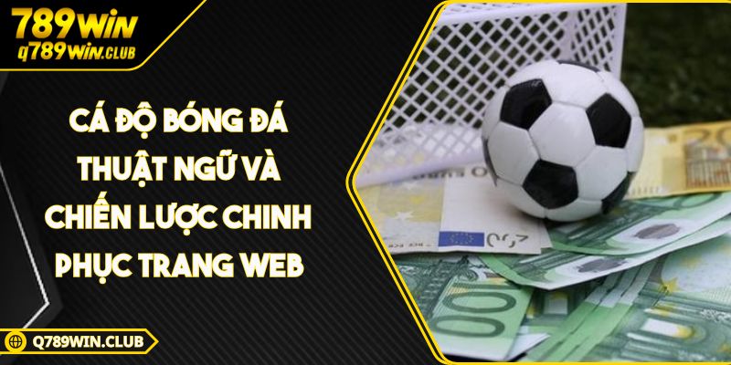 Cá Độ Bóng Đá Thuật Ngữ Và Chiến Lược Chinh Phục Trang Web