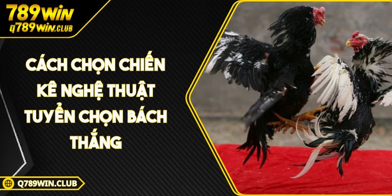 Cách Chọn Chiến Kê Nghệ Thuật Tuyển Chọn Bách Thắng