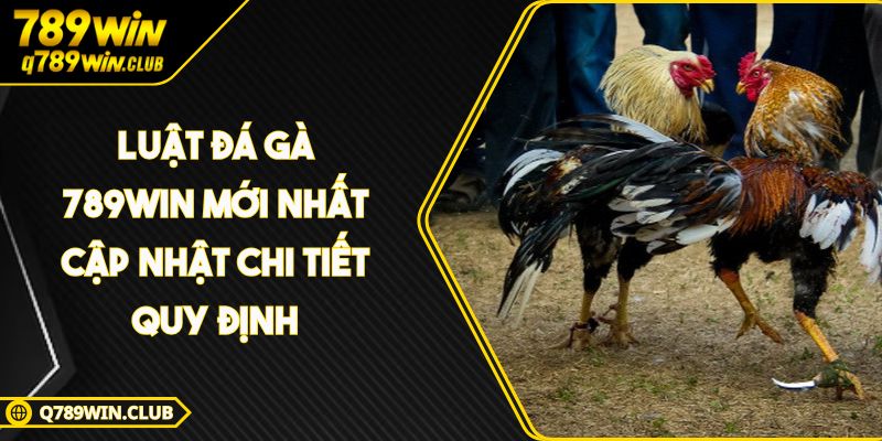 Luật Đá Gà 789WIN Mới Nhất Cập Nhật Chi Tiết Quy Định