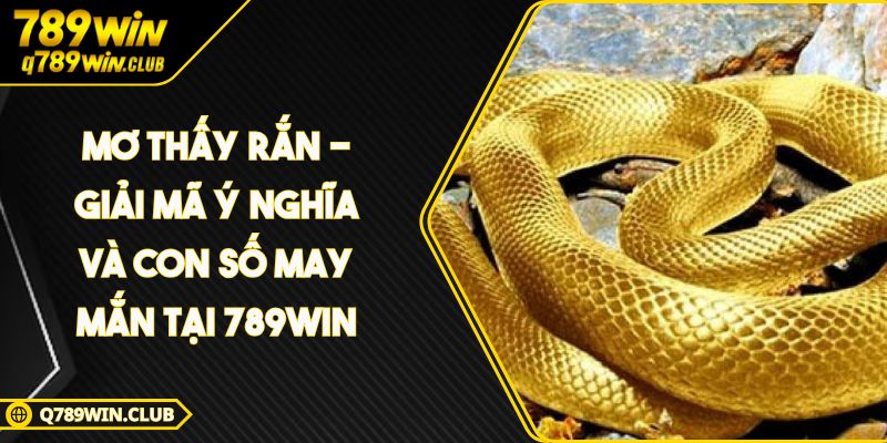Mơ Thấy Rắn – Giải Mã Ý Nghĩa Và Con Số May Mắn Tại 789WIN